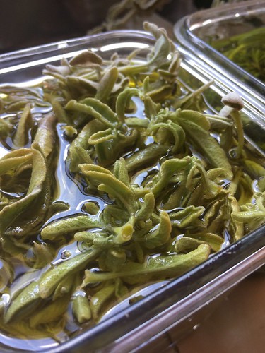 Sage infusion in olive oil