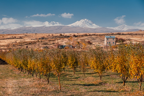 armenia autumn nature landscape