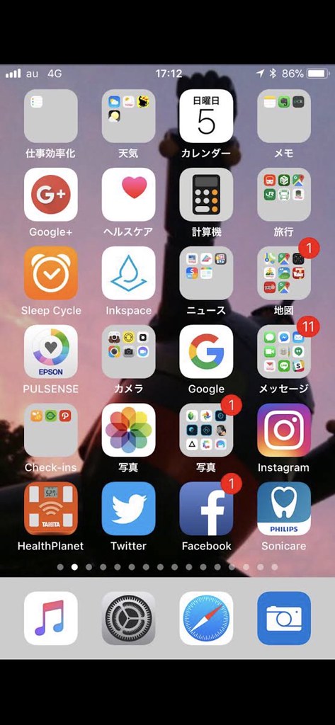 iPhone X accessibility adjustment