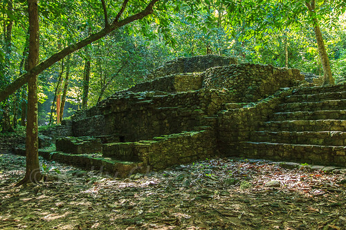 chiapas maya mayan mexico nationalparkofpalenque northamerica palenque unescoworldheritagesite archeology architecture building color colorful colour colourful culture day daylight flora forest heritage landscape nopeople nobody outdoor ruins tourism travel traveldestinations trees