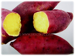 Ipomoea batatas (Sweet Potato, Sweet Potato Vine, Keledek in Malay) with yellow flesh and red skin, 7 Nov 2017