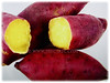 Ipomoea batatas (Sweet Potato, Sweet Potato Vine, Keledek in Malay)