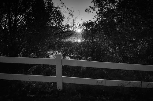 noiretblanc blackandwhite bw mist misty mistywaters autumnmorning morning tihonetroad wankincoriver wareham warehamriver warehamma warehammassachusetts harlowbrook pondsofplymouthcounty parkersmillpond firstlight sunrise dawn
