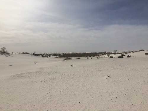 White Sands along the trail