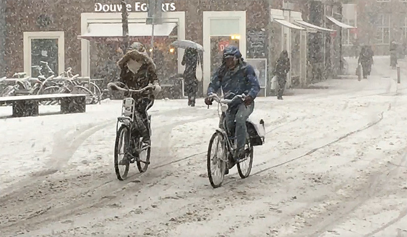 Сколько миллионов потеряли Нидерланды из-за снега 