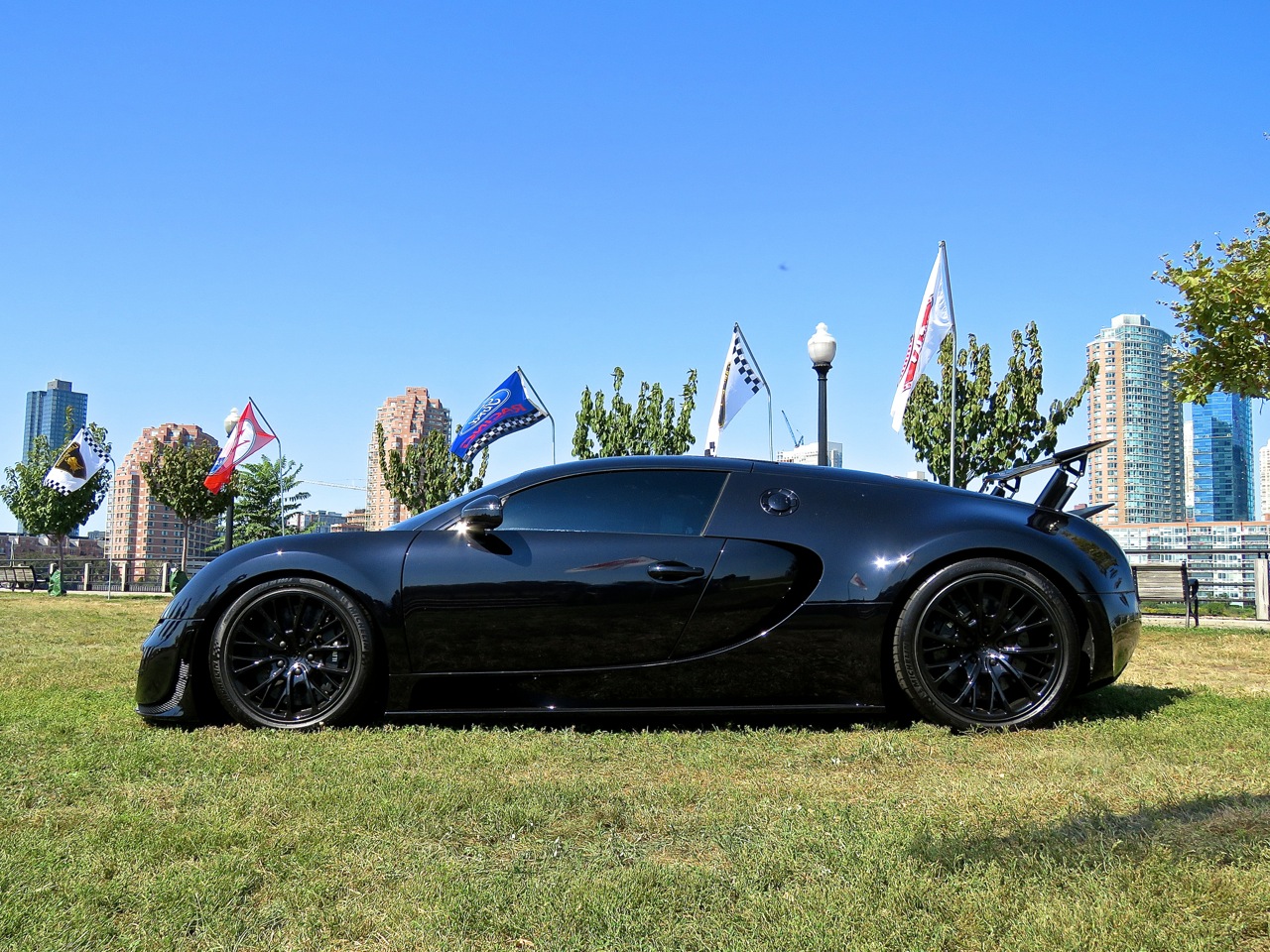 Bugatti Veyron Driven By Purpose 9