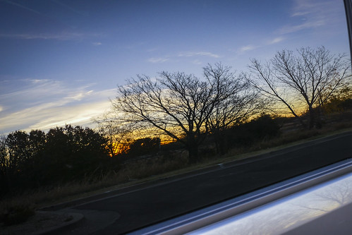 oklahoma tulsa tree bluehour reflection sunset