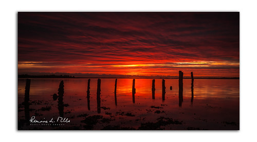 rough island islandhill sunrise wooden posts reflections comber newtownards county down northern ireland