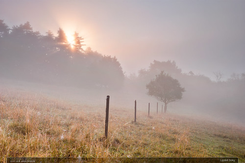 morning czech landscape fog summer meadow trees sunrise forest lipanaddrevnici