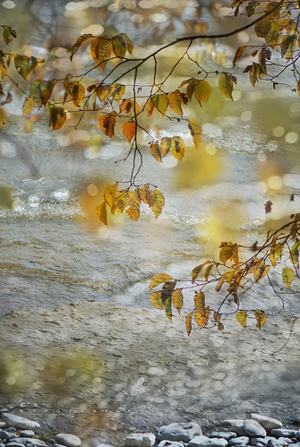 lake fall autumn presquile presquileprovincialpark nikon1050mmf28