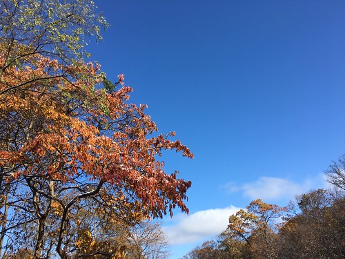 waggoner’sgap hike snow autumn fall audubon pennsylvania view