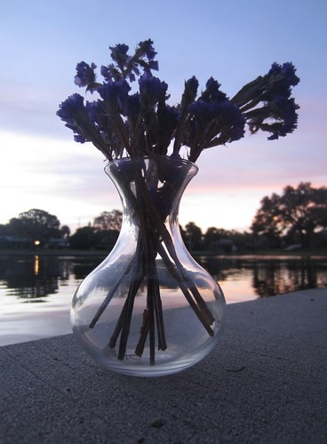 glass vase sunrise 100possibilities silhouette elph300hs img2056strt
