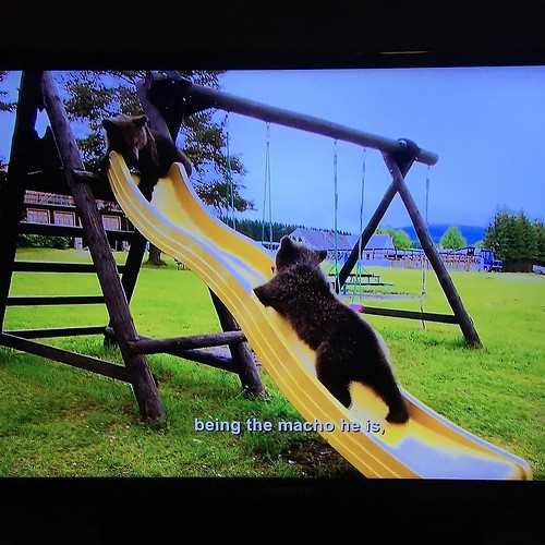 Don't mind me, just dying while watching this documentary about baby bears in Romania 😍🐻🐻