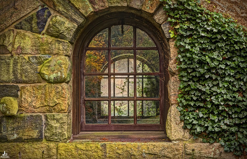 thatviewintotheexistence window view life in a vacuum stone house wavy glass layers reflection autumn ivy wall