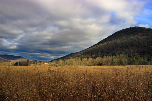pennsylvania lycomingcounty stategameland133 stategamelands133 sgl133 alleghenyplateau appalachianmountains endlessmountains hiking landscape field meadow mountains hills sky clouds stratocumulus autumn nature creativecommons