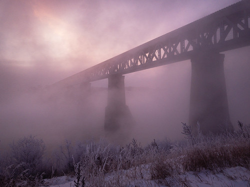 foggy winter sunrise