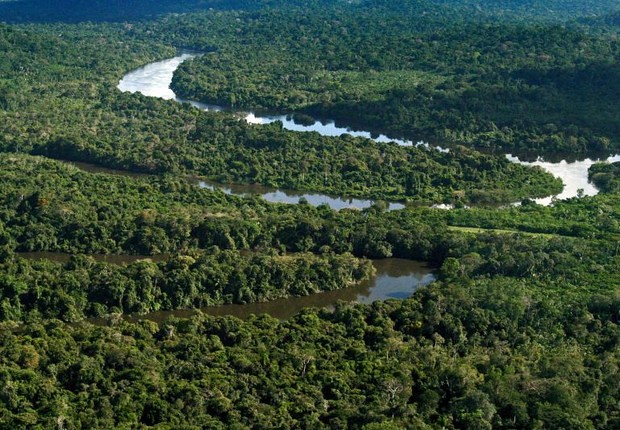 Exército brasileiro estima que patrimônio natural total da Amazônia gire em torno U$ 23 trilhões; riqueza está em risco - Créditos: Tamara Sare/Fotos Públicas
