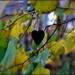 _a heart for foliage