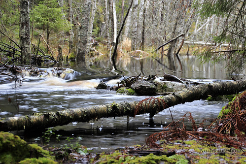 seitseminennationalpark finland autumn fall nature luonto suomenluonto river joki seitsemisenkansallispuisto