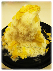 Flavourful ice-cream made from sweet flesh of Durio zibethinus (Durian, Common Durian, Civet Fruit, Durian Kampong in Malay), 9 May 2014