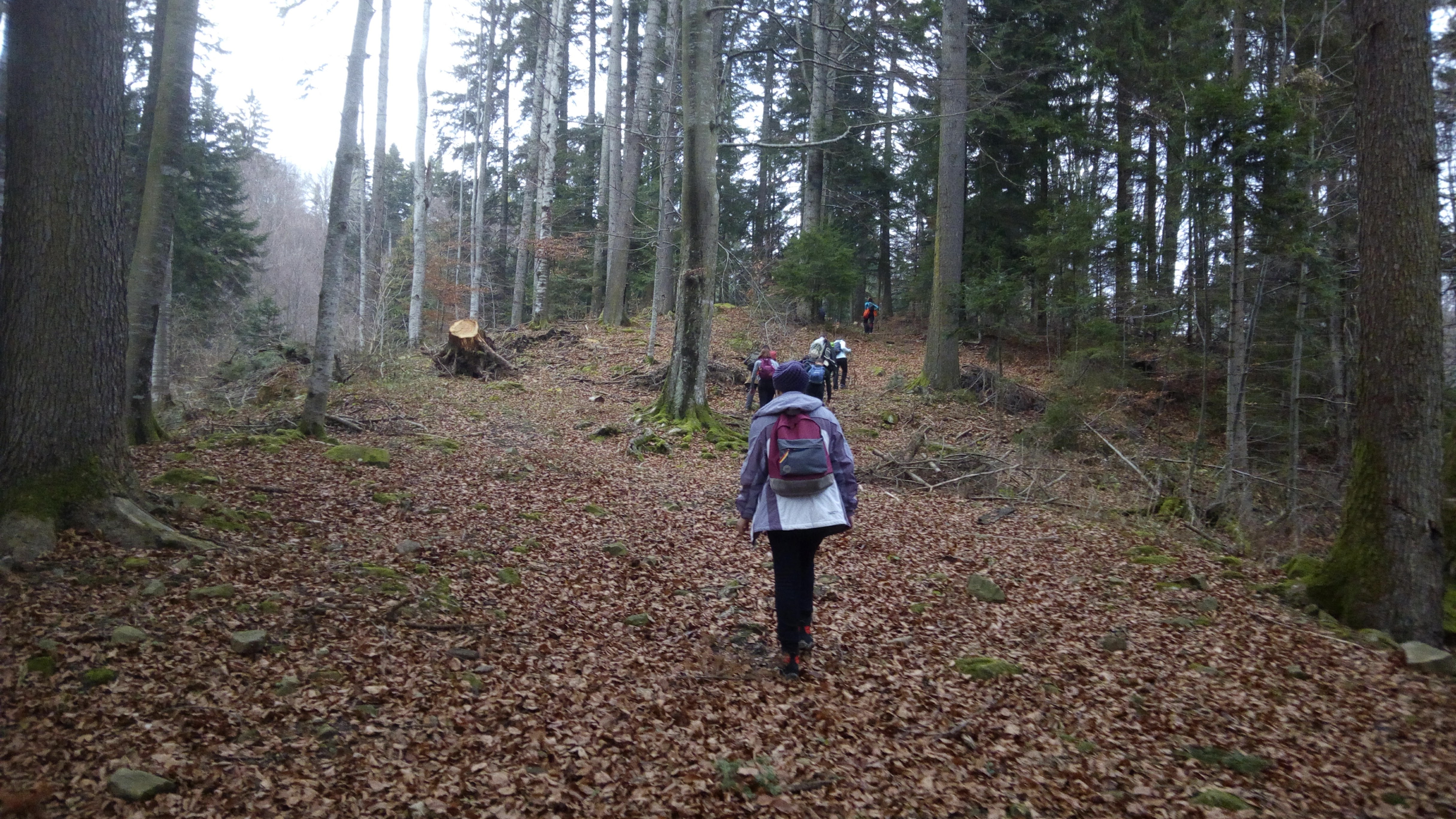 Hiking in Penteleu  (13)