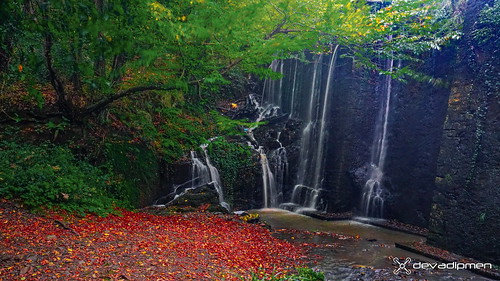 autumn belgradforest belgradormanı forest istanbul landscapephotographer naturepark naturephotographer orman sarıyer sonbahar şelale türkiye waterfall