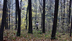 Podzimní běhání: Hurá do lesa