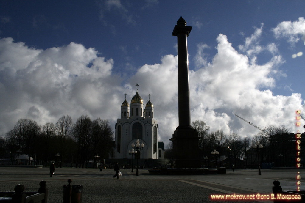 Центральная площадь в Калининграде