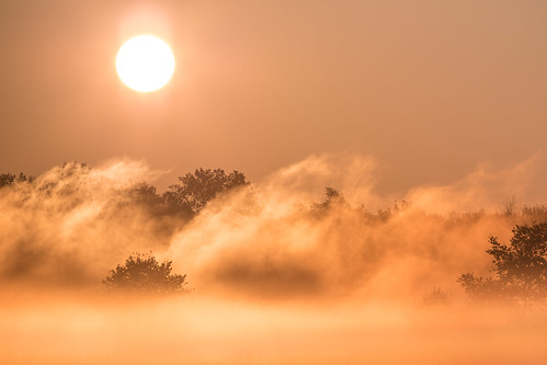sunrise fog eaglemarsh littleriverwetlands