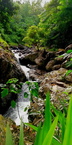 down stream rocks stone water flow flowing nature falls philippines province racs0706 vacation huawei