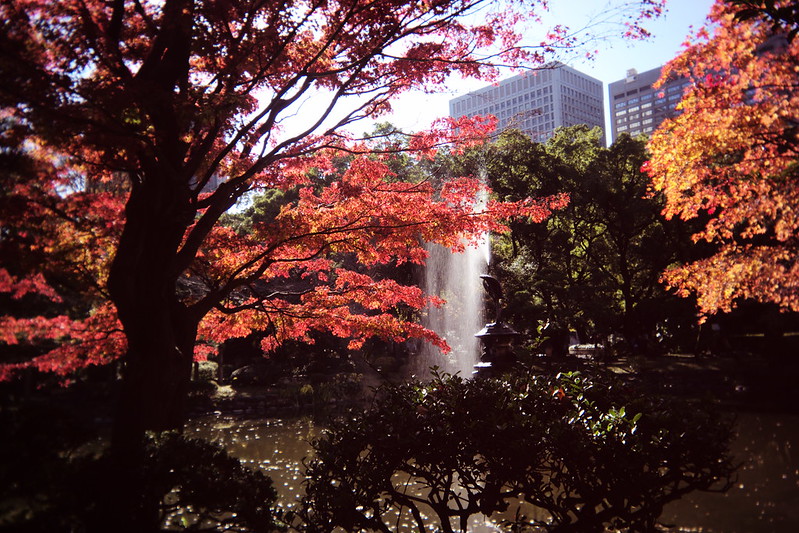 Leica M TYP240+Utulens日比谷公園の紅葉。雲形池と鶴の噴水。