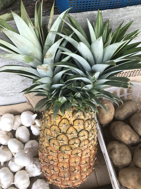 twin head pineapple fruit