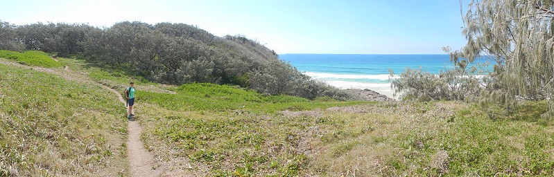 Un paraíso llamado Fraser Island - AUSTRALIA POR LIBRE: EL PAÍS DEL FIN DEL MUNDO (9)