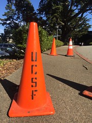 UCSF safety cone aka pylon