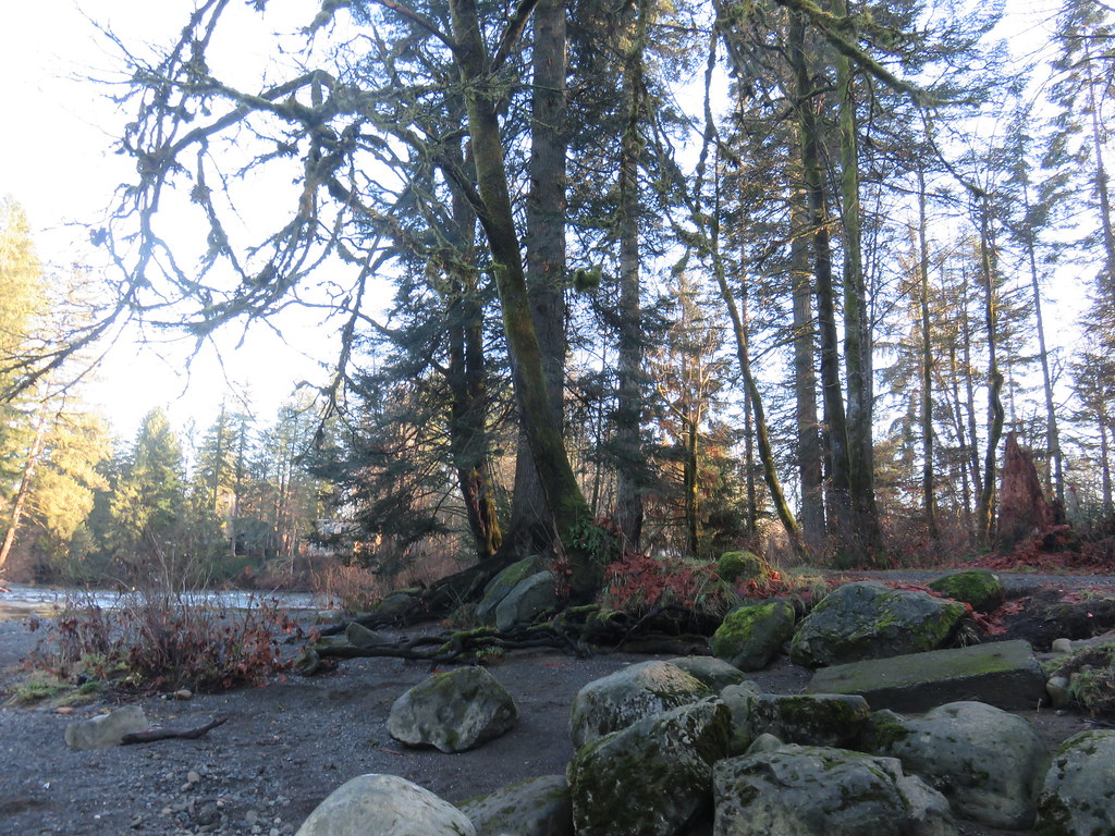 Puntledge park  in Courtenay