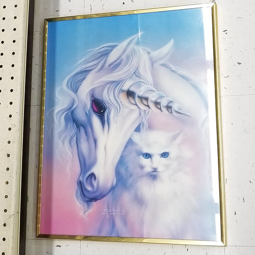 unicorn cat