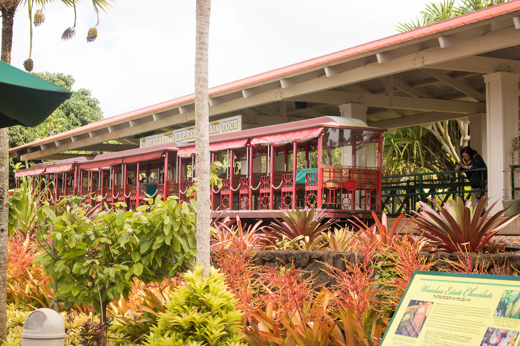 Dole Plantation Pineapple Express Train Tour