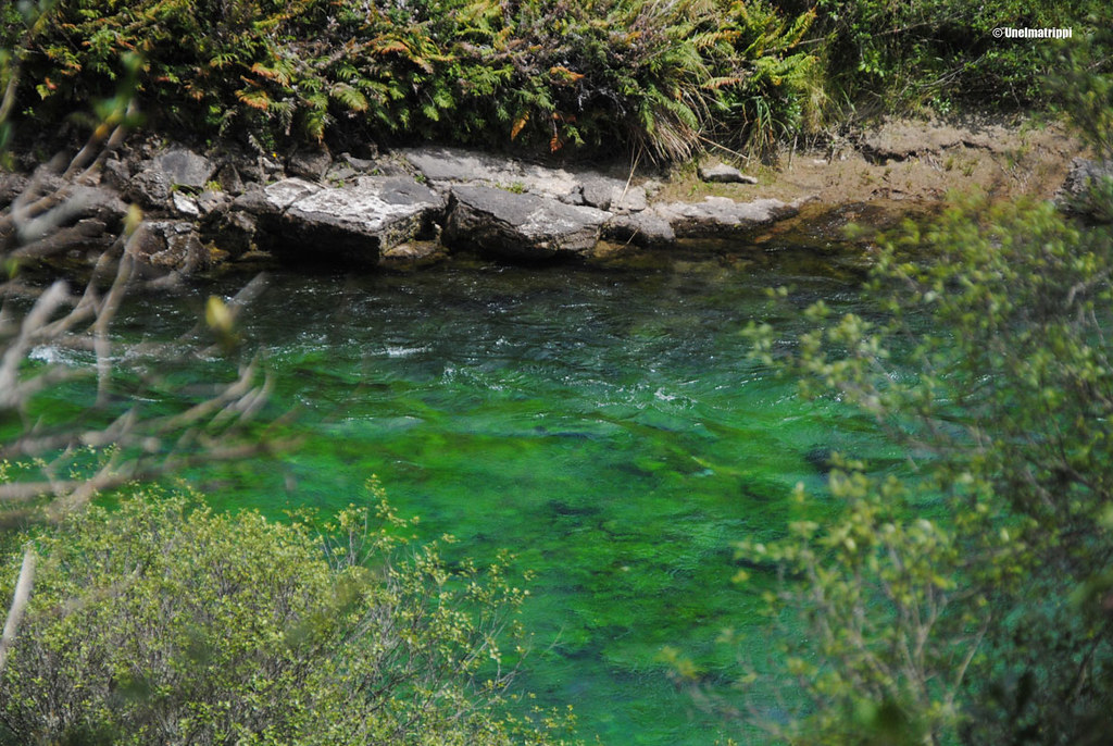 Vihreää vettä vihreässä maisemassa, Huka Falls, Uusi-Seelanti