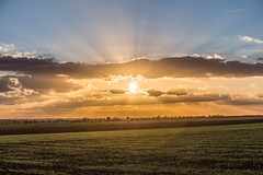 Golden fields sunset - Photo of La Crèche