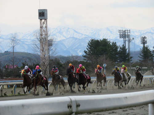 金沢競馬場のレース風景