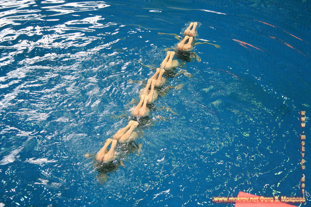 Сборной команды России по синхронному плаванию и фотозарисовки