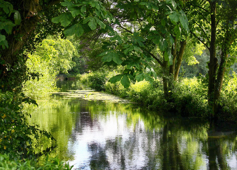 River Churn in Cirencester. Credit Mark Philpott, flickr