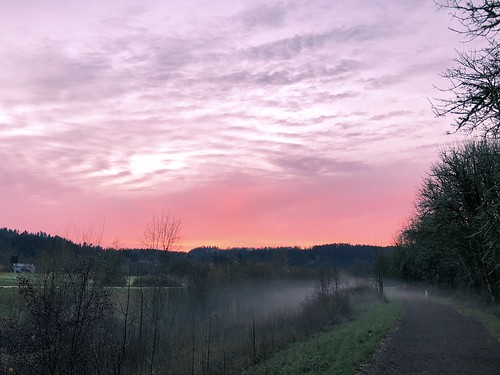 amazonpark morning morningrun run sunrise dawn pink fog amazontrail