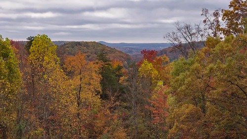 autumn fall drone ariel ohio ohiofoothills mavic trees color fallcolor flying cloudy