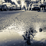 Wet street