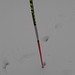 hůlka bodnutá do sněhu