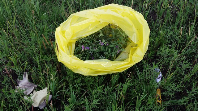 yellow plastic bag with greens and purple flowers on the ground next to yellow gloves and a small shovel