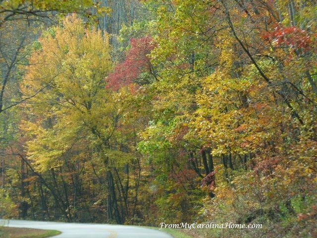 Blue Ridge Parkway Autumn 2017 at From My Carolina Home