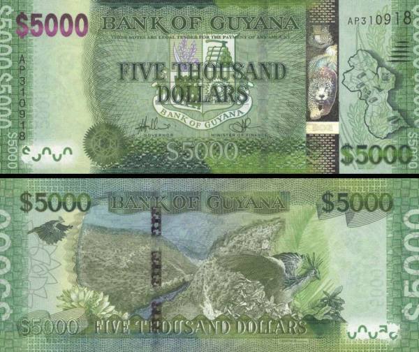5000 dolárov Guyana 2013, P44