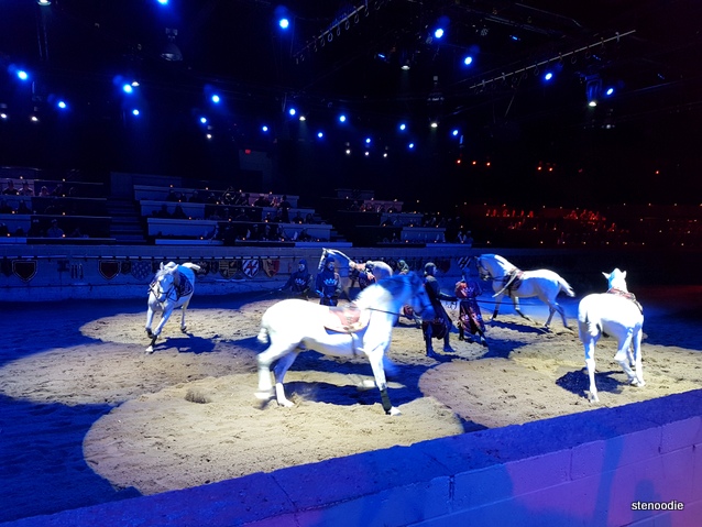 Medieval Times horses demonstration